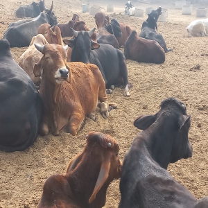 Nun steht es fest, wir müssen umziehen!