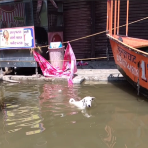 Rückblick auf die letzten Monate