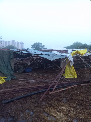 einstürzende Unterkunft2